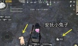 和平精英新宠物爆料视频,萌宠来袭，战场新伙伴引期待